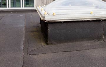 disadvantages of Glyn Ceiriog flat roofs