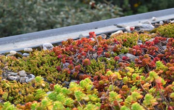 the cost of Glyn Ceiriog green roof installation