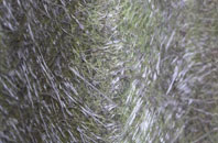 Glyn Ceiriog fibreglass roof work